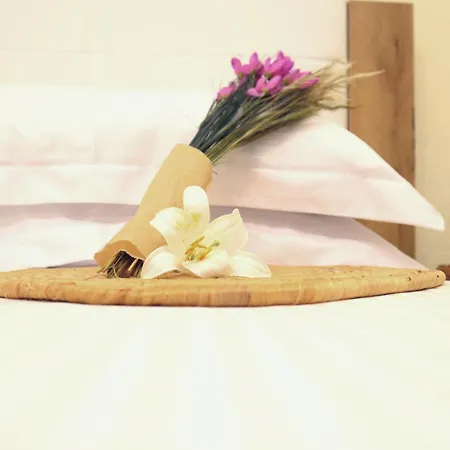 Thassion-ikea Jacuzzi Hydromassage *