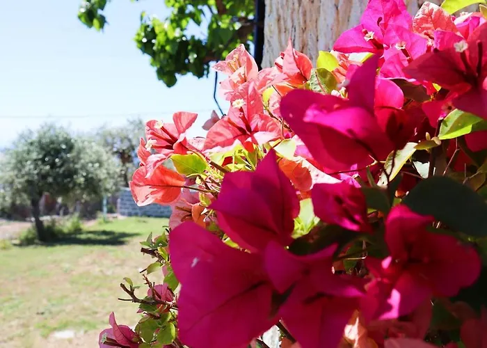 Thassion-ikea Jacuzzi Hydromassage Αστρίδα