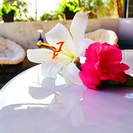 Thassion-ikea Jacuzzi Hydromassage